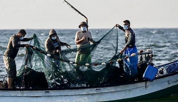 Ekspor Meningkat, Sektor Perikanan Jadi Unggulan: Kinerja Perdagangan Luar Negeri Kaltim Awal 2025 Tunjukkan Tren Positif