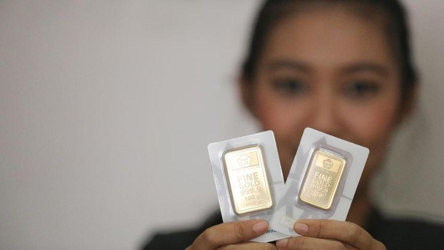 Harga Emas Antam Anjlok Rp 13.000 Hari Ini, Turun ke Rp 1,69 Juta